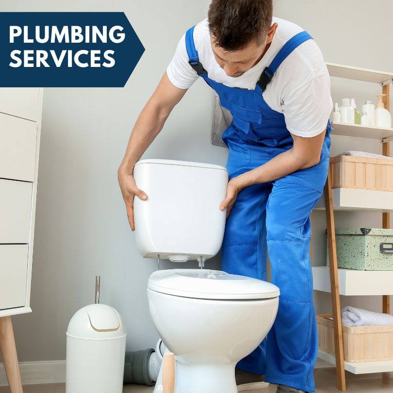 Plumbing Company in Mayville, MI